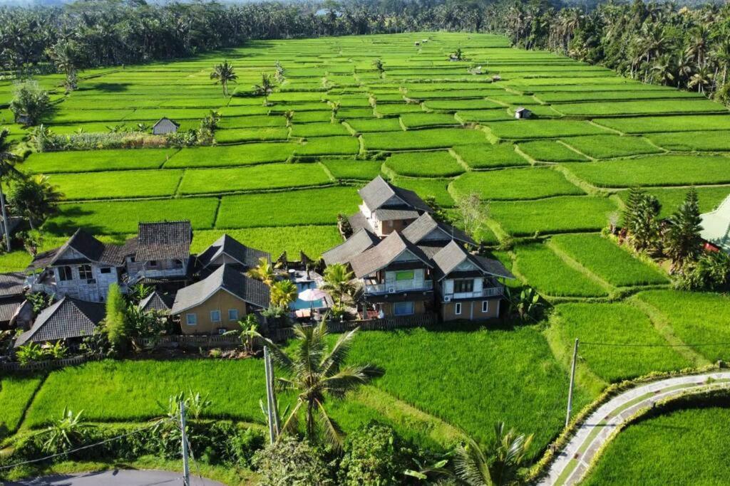 Ananda Jj Ubud Resort & Spa Exterior photo